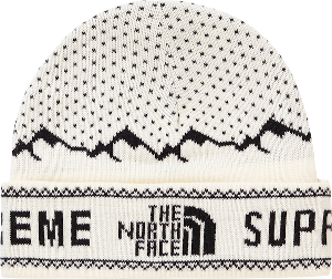 supreme the north face fold beanie