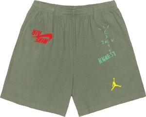 cactus jack jordan shorts
